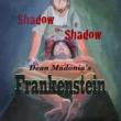 Shadow To Shadow: Dean Madonia' s Frankenstein