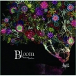 Bloom -in my withered garden-