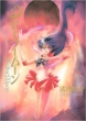 Sailor Moon Complete Edition 3