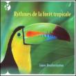 Rythmes De La Foret Tropical