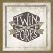 Twin Forks