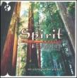 Spirit Earth