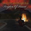 Kingdom Of Dissent