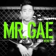1st Mini Album: MR.GAE