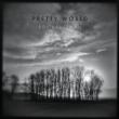Pretty World