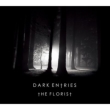 Dark Entries