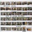 Live At Goner Records