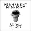 Permanent Midnight