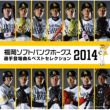 Fukuoka Softbank Hawks Players Theme Songs & Best Sellection 2014