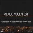 Mexico Music Fest