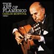 Art Of The Flamenco