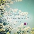 La Fleur De La Vie