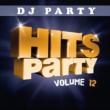 Hits Party Vol.12