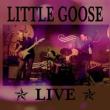Little Goose Live