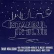 Istanbul In Blue