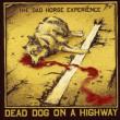 Dead Dog On A Highway
