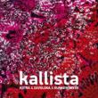 Kallista