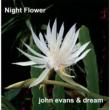 Night Flower