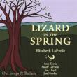 Lizard In The Spring