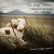 Sheeps Dream
