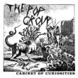 Cabinet Of Curiosities (AiOR[h)