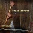 Lost In The Wood