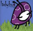 Ladybug Music Purple Collection
