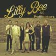 Lilly Bee & The Pollinators