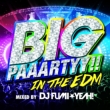 Big Paaartyy!! In The Edm Mixed By Dj Fumiyeah!