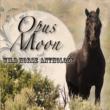 Wild Horse Anthology