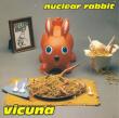 Vicuna