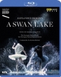A Swan Lake(Mikael Karlsson): (Ekman)norwegian National Ballet