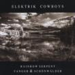 Elektrik Cowboys