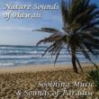 Nature Sounds Of Hawaii
