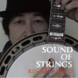 SOUND OF STRINGS
