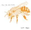 Lost Bees