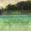 Live At Peach Music Festival 2014