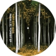 Parrallel Forest Ep