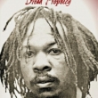 Dread Prophecy -The Strange And Wonderful Story Of Yabby You