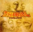 Tribal Theory
