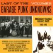 Last Of The Garage Punk Unknowns 2