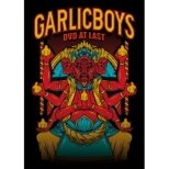 GARLICBOYS DVD AT LAST