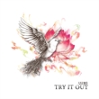 Ep Album: Try It Out