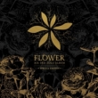 Vol.3: Flower [Special Edition] (CD+DVD+PHOTOBOOK)