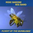 Flight Of The Bumblebee