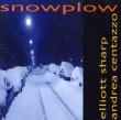 Snowplow