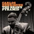 Bronx Pyramid