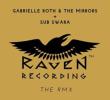 Raven -Rmx