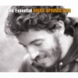 Essential Bruce Springsteen (2CD)