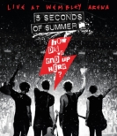How Did We End Up Here? 5 Seconds Of Summer Live: At Wembley Arena
